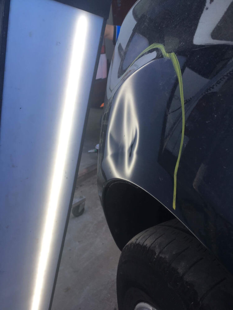 Ford Territory - Left Guard - Before